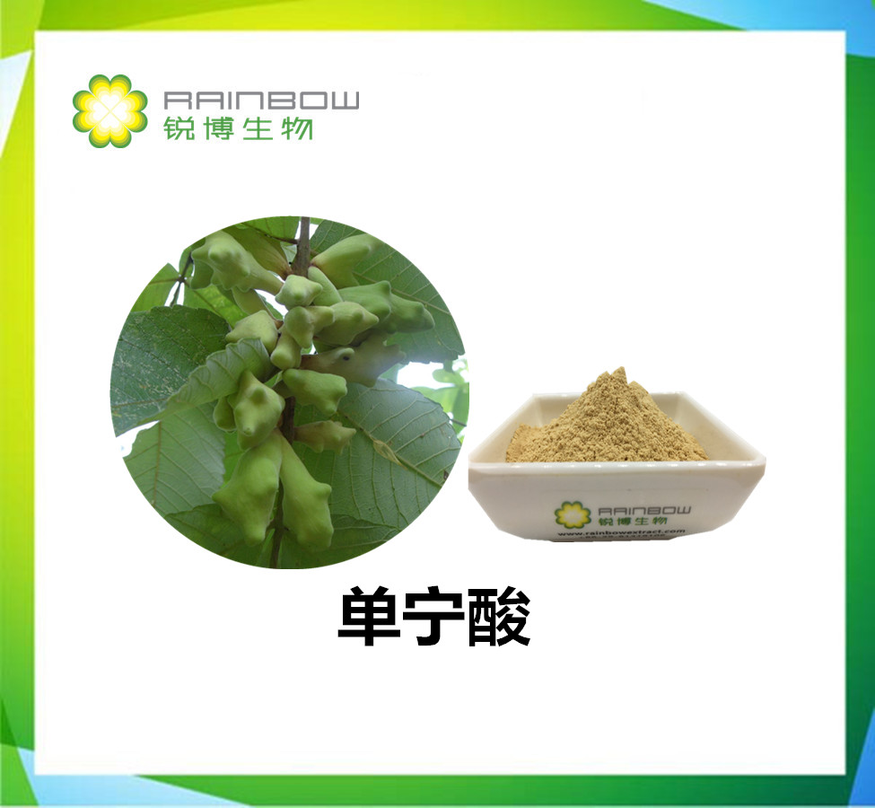 五倍子提取物制作单宁酸