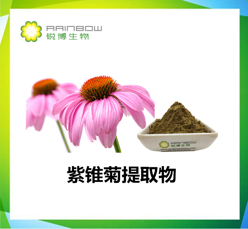 紫锥菊提取物为何会被推广使用