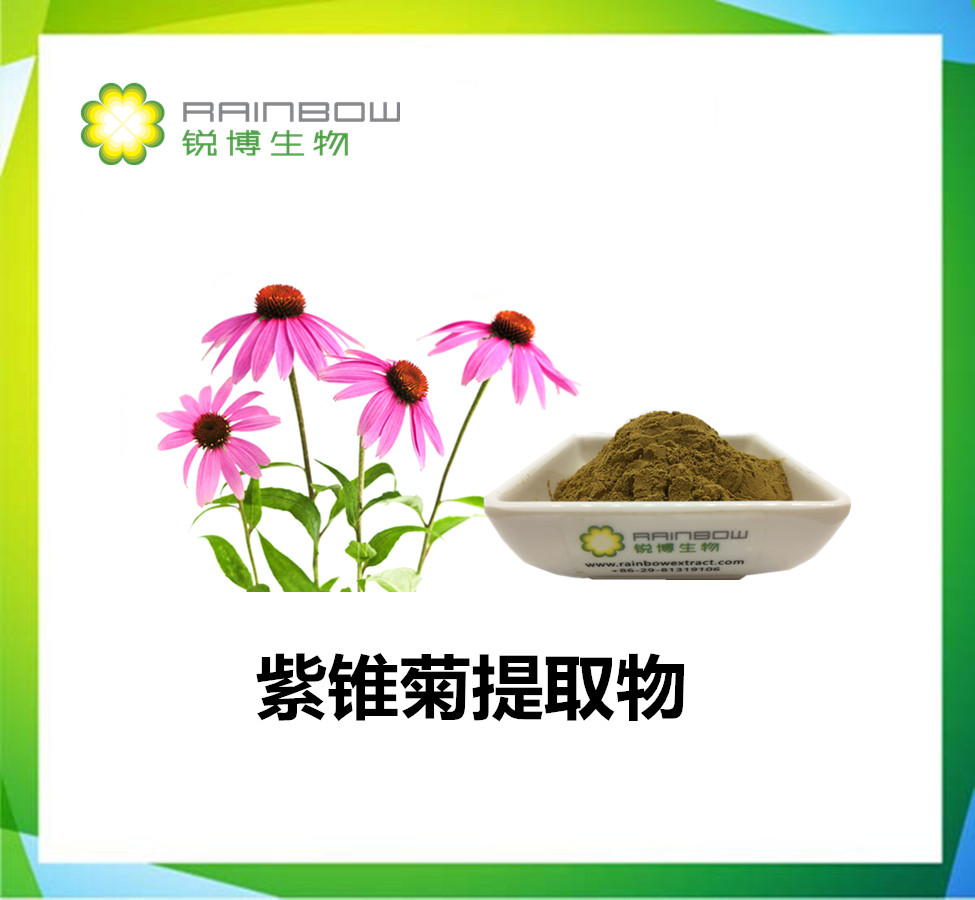 紫锥菊提取物的好处