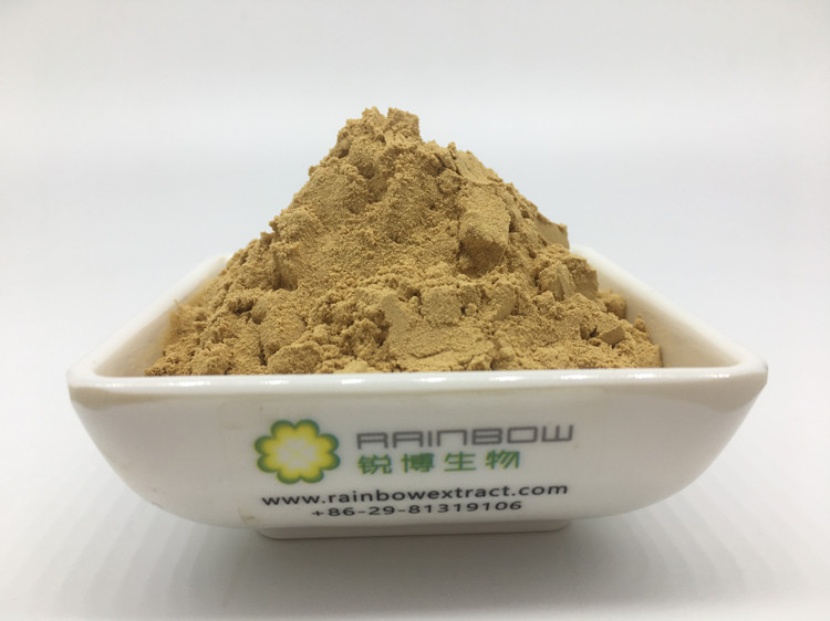 金银花提取物的技术讨论