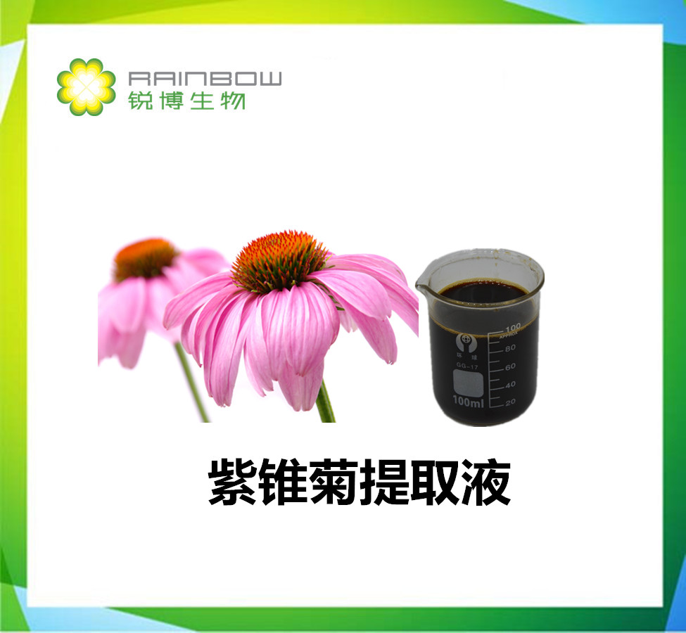紫锥菊提取物药店有售