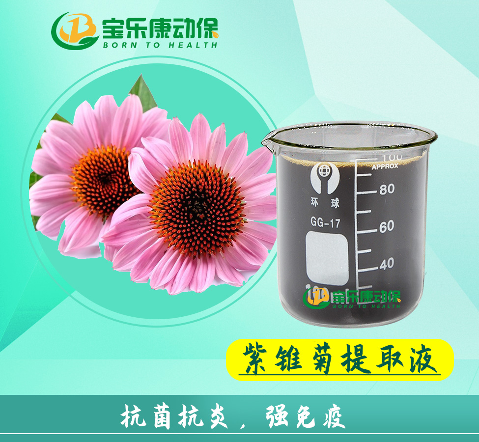 紫锥菊提取液