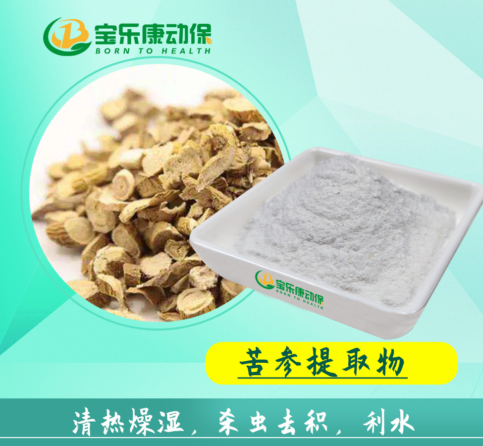 苦参提取物