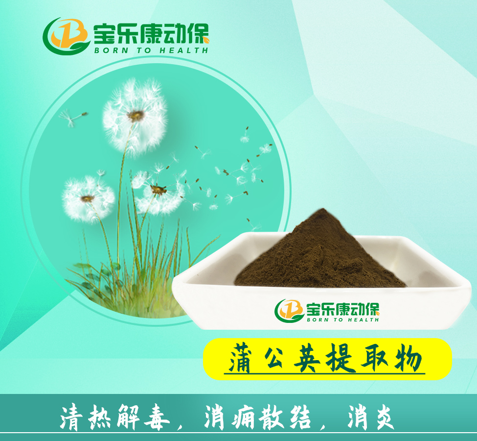 蒲公英提取物