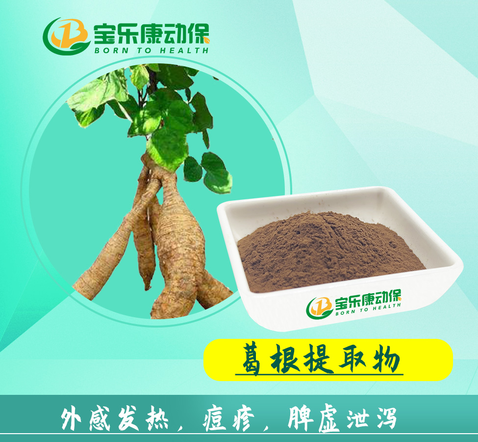 葛根粗提物