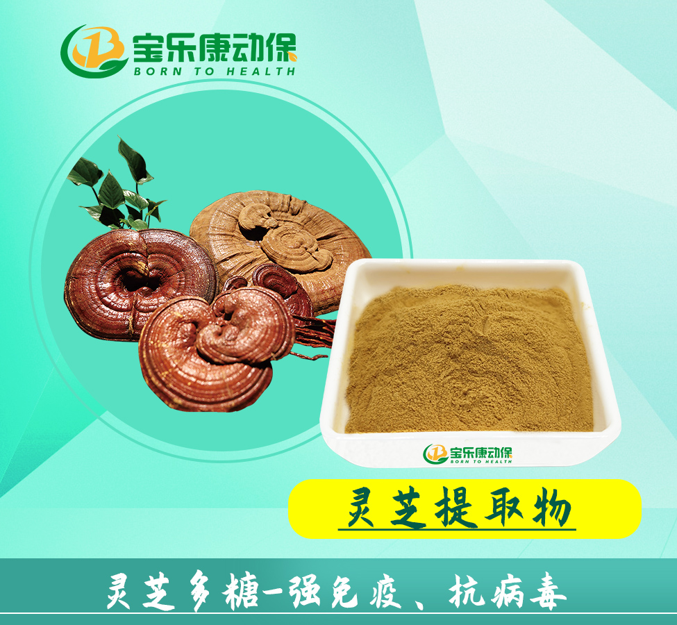 灵芝粗提物