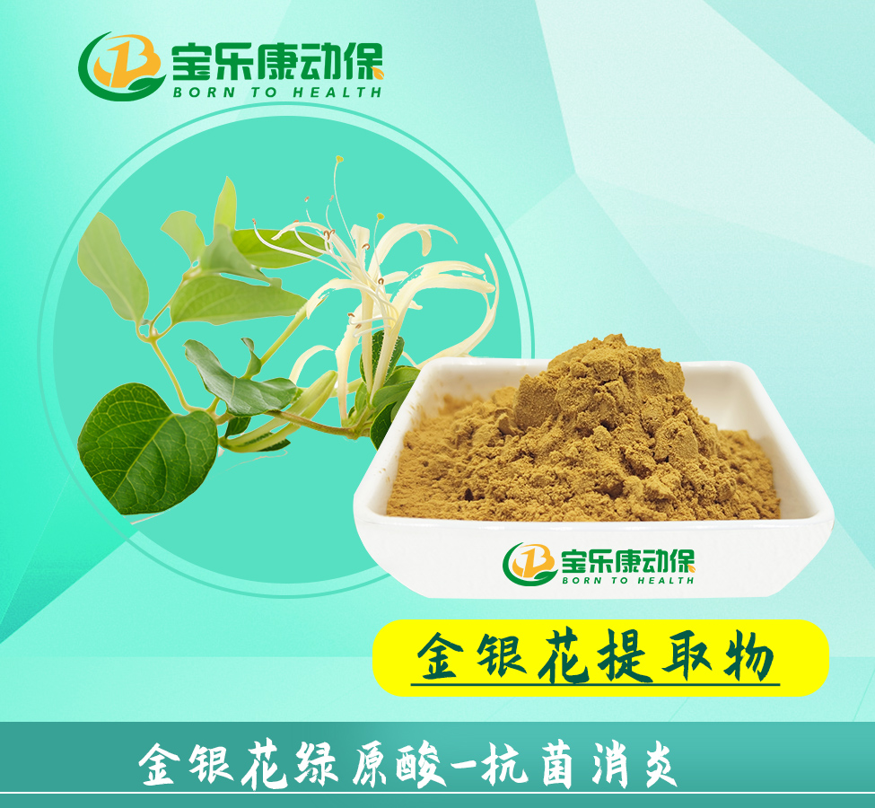 金银花提取物