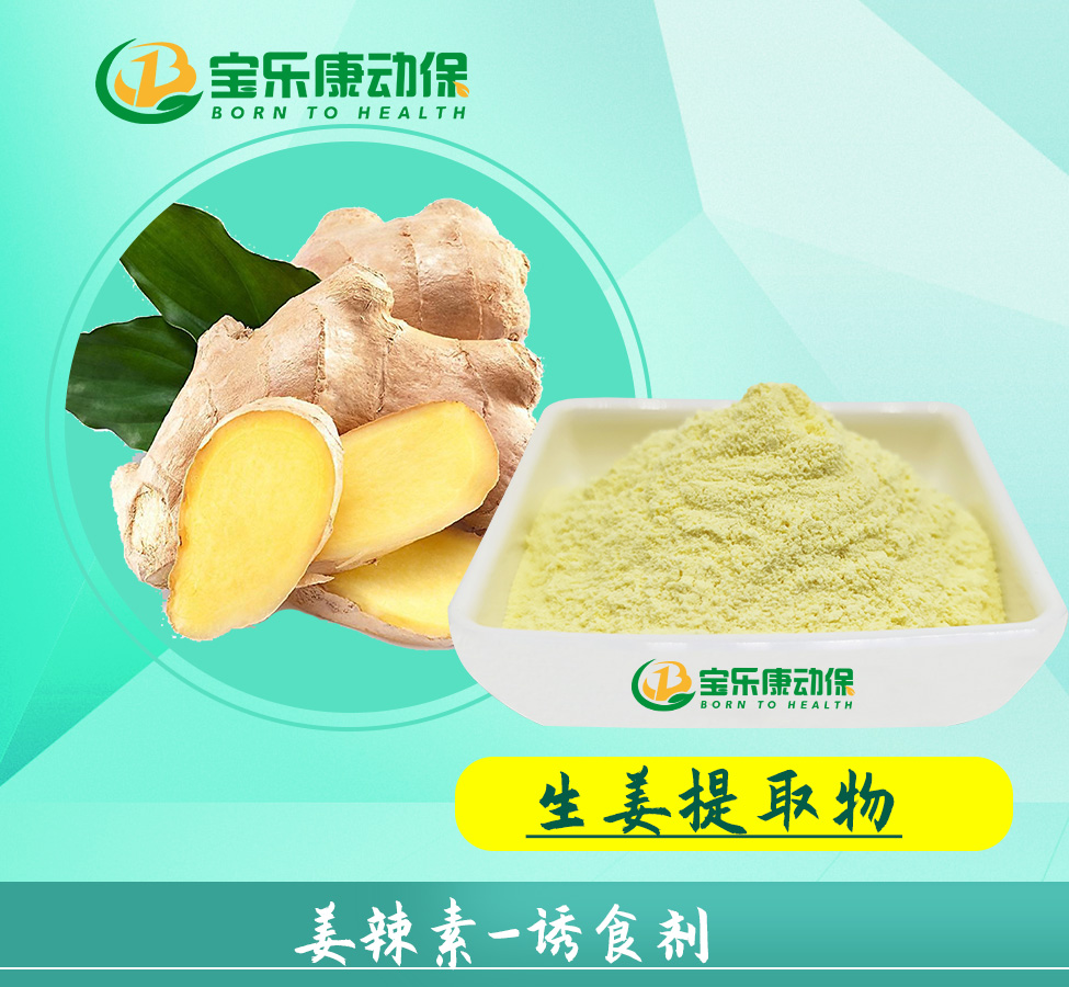 生姜提取物