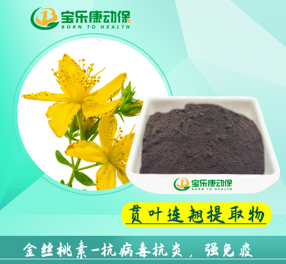 贯叶连翘提取物
