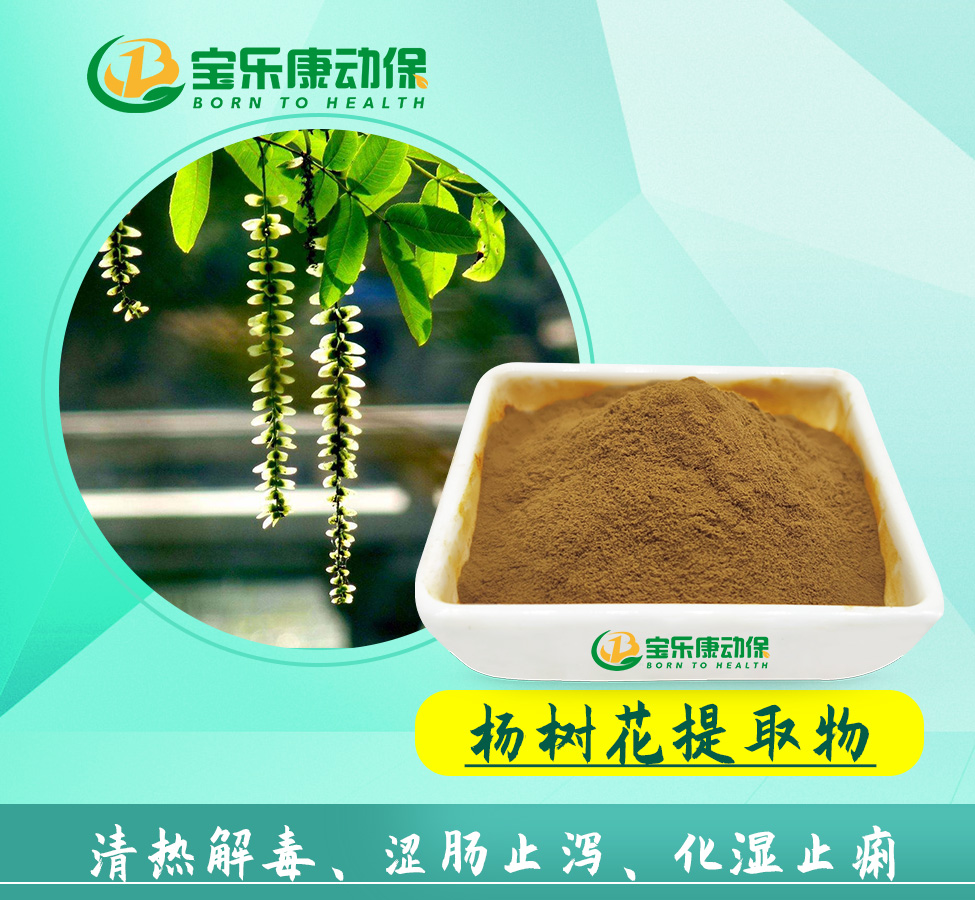 杨树花粗提物