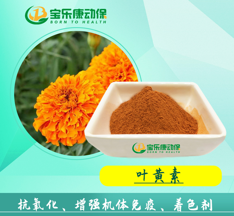 叶黄素