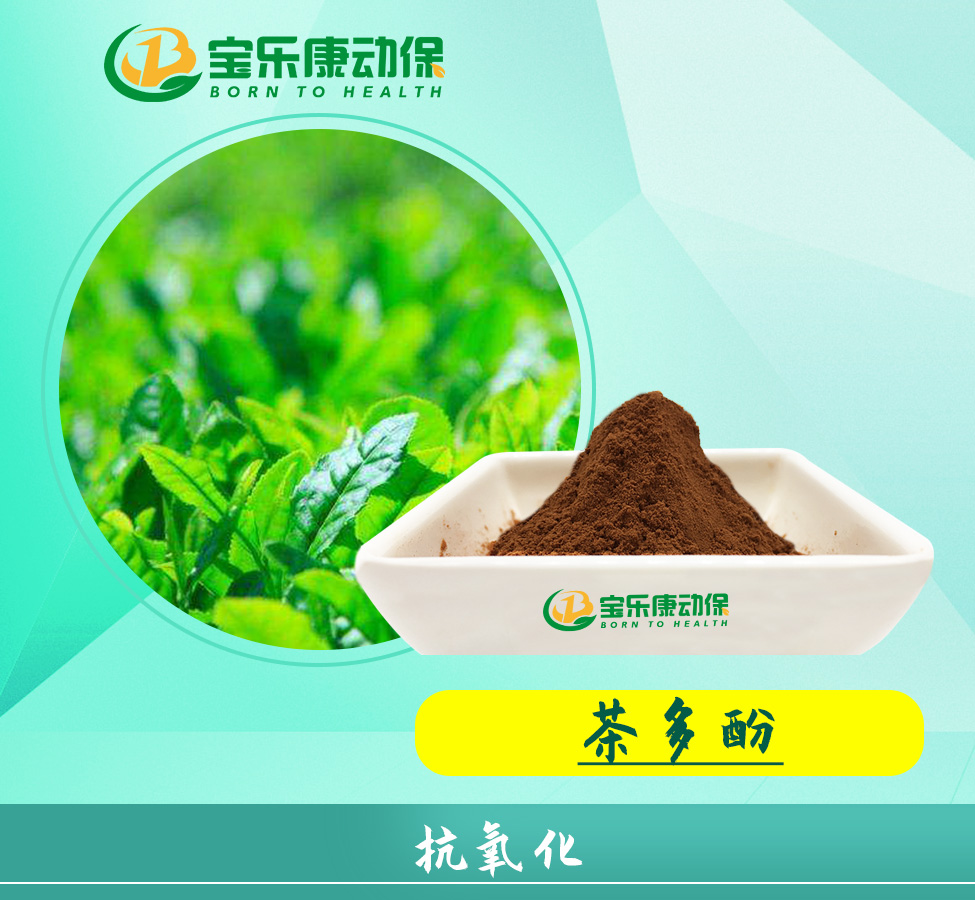 茶多酚