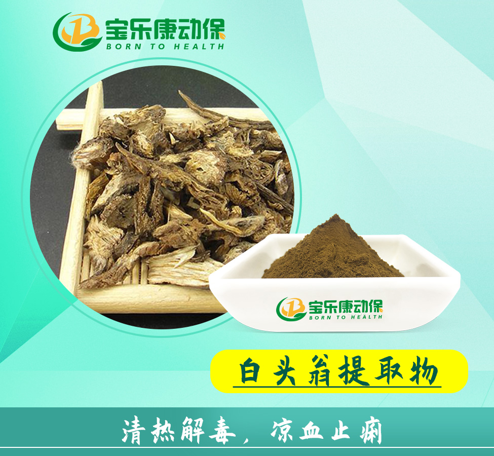 白头翁提取物