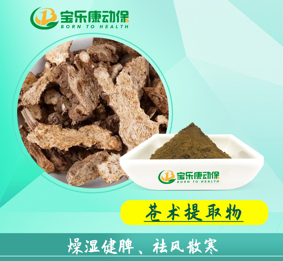 苍术提取物
