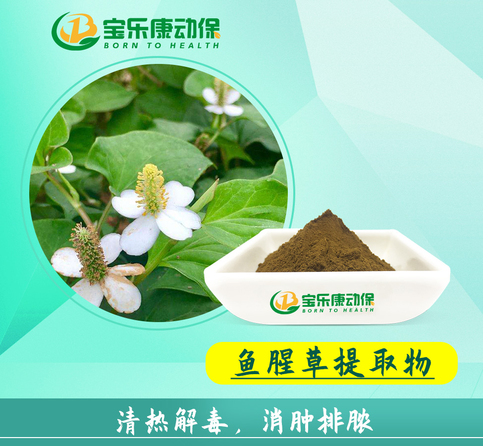 鱼腥草提取物