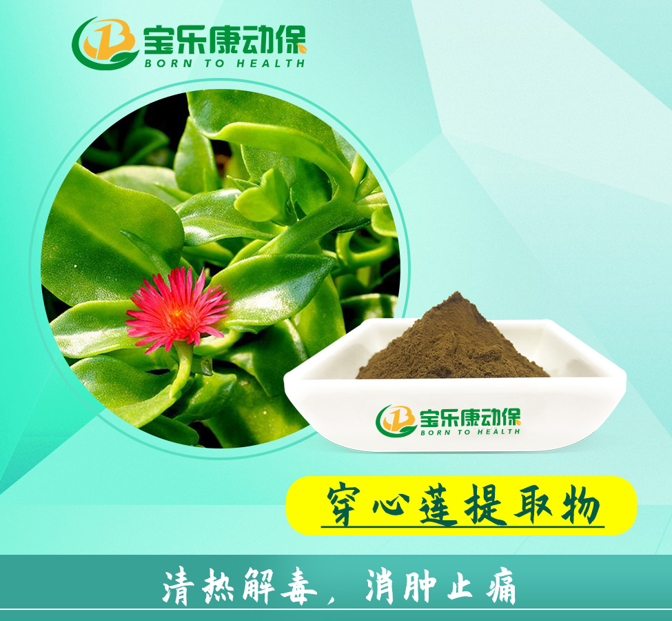 穿心莲提取物
