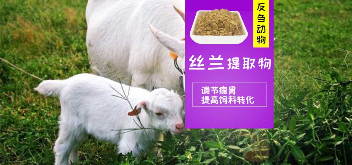 丝兰提取物的除臭效果怎么样，反刍饲料中添加效果如何？