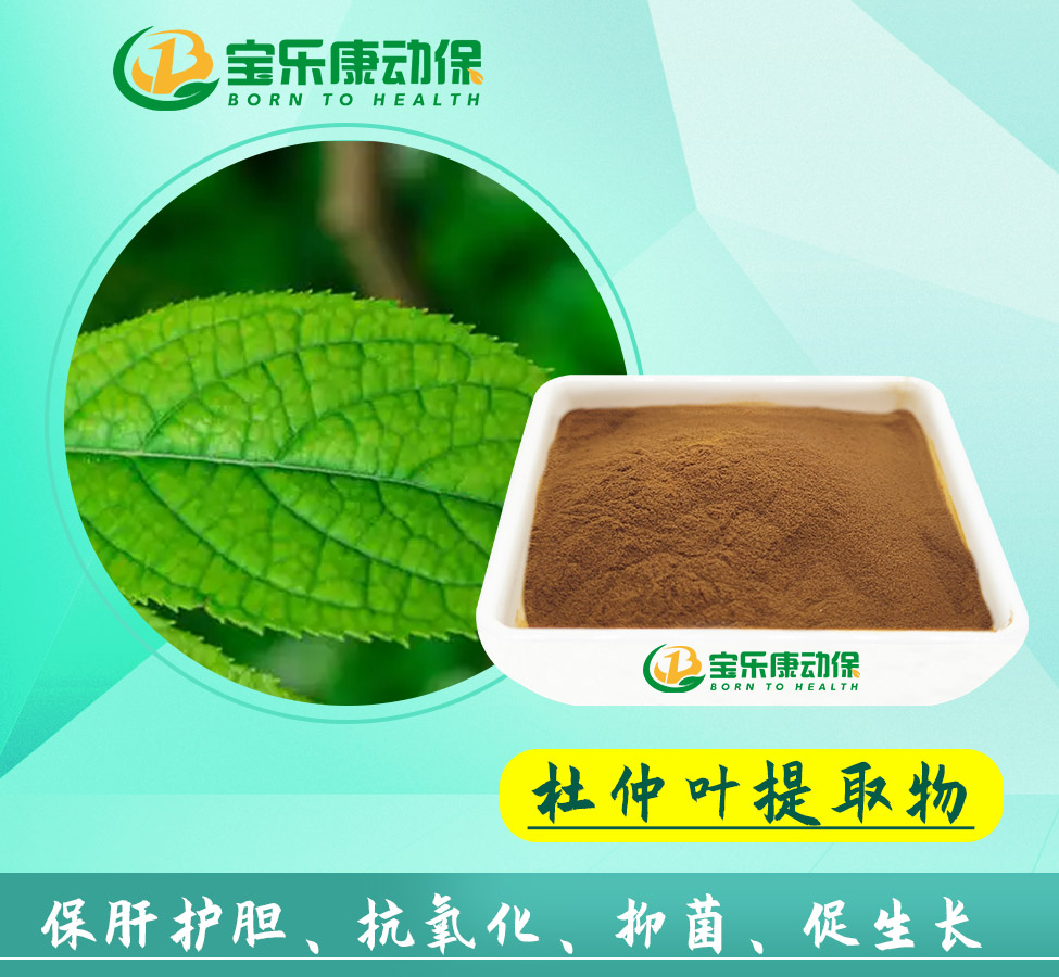 杜仲叶提取物用在养殖业的作用