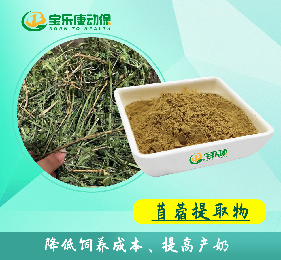 紫花苜蓿提取物