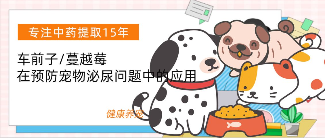 保宁派-猫犬泌尿健康复合包：车前子提取物/蔓越莓/白茅根