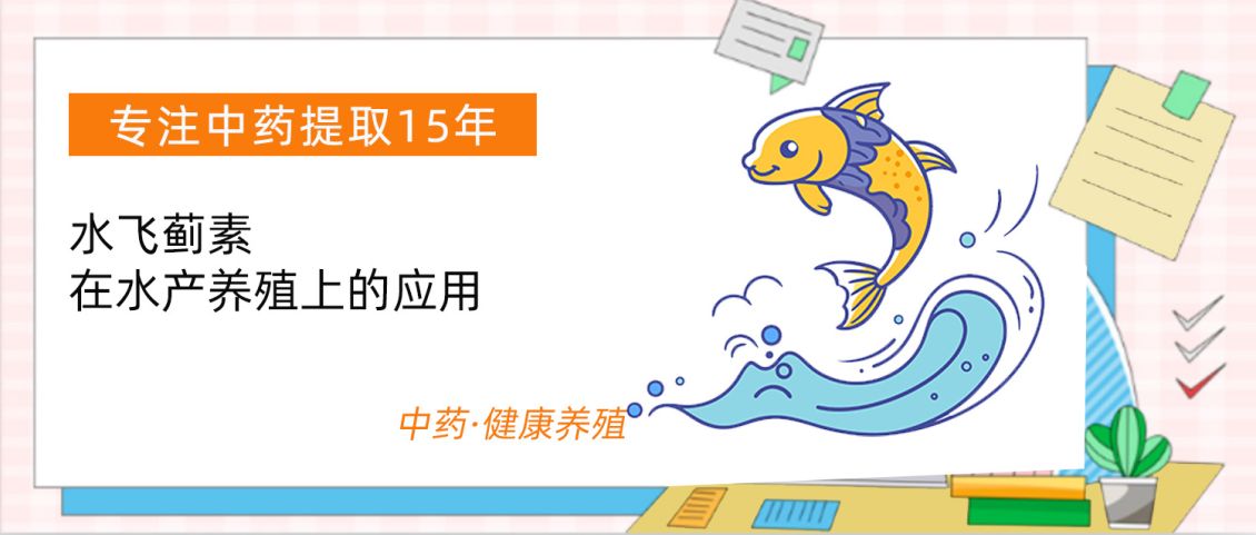 水飞蓟素在水产养殖上的应用