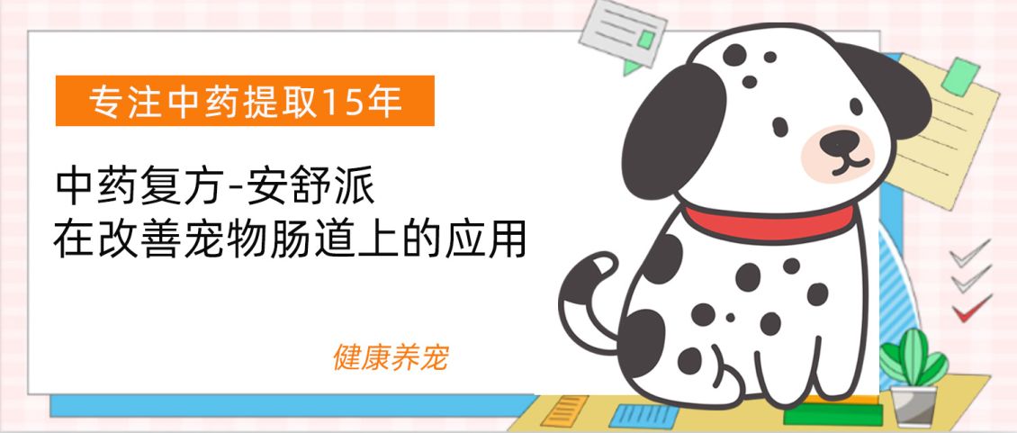 为什么安舒派对老年宠物的吸引力更大？