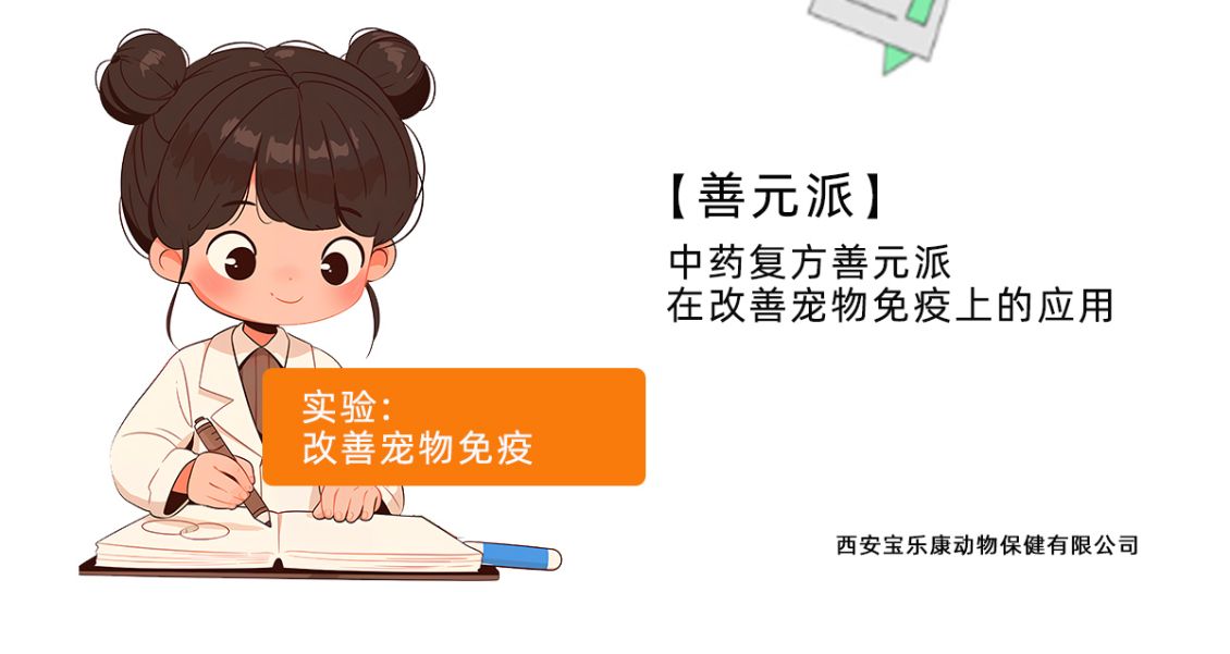 老年犬粮中添加善元派具有多方面好处