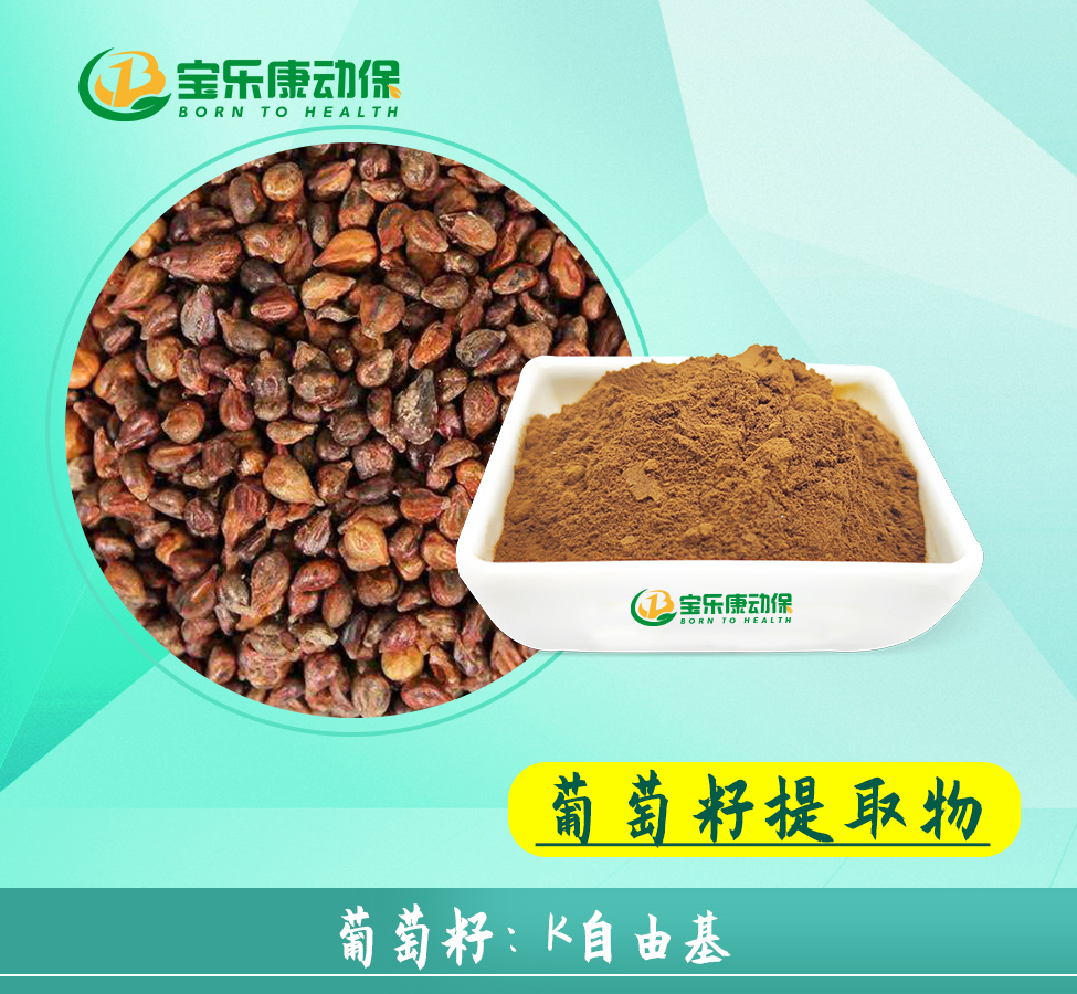 葡萄籽提取物在反刍动物生产中的应用