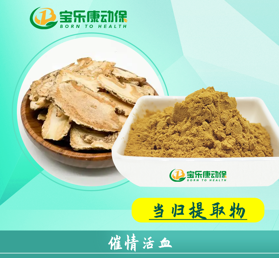 当归粗提物
