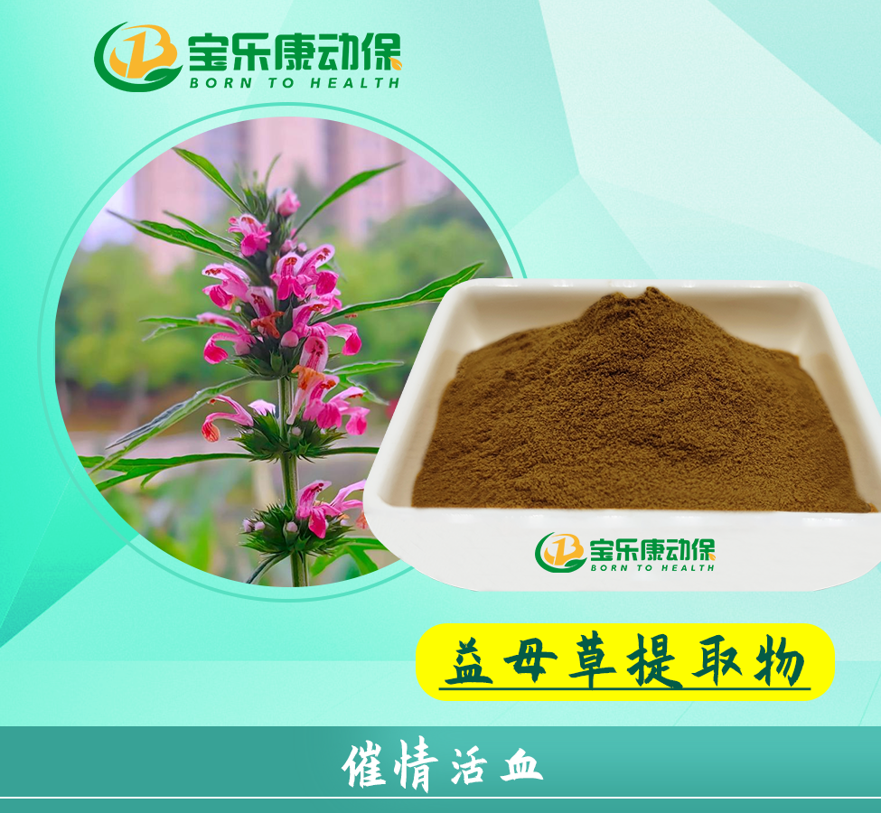 益母草粗提物