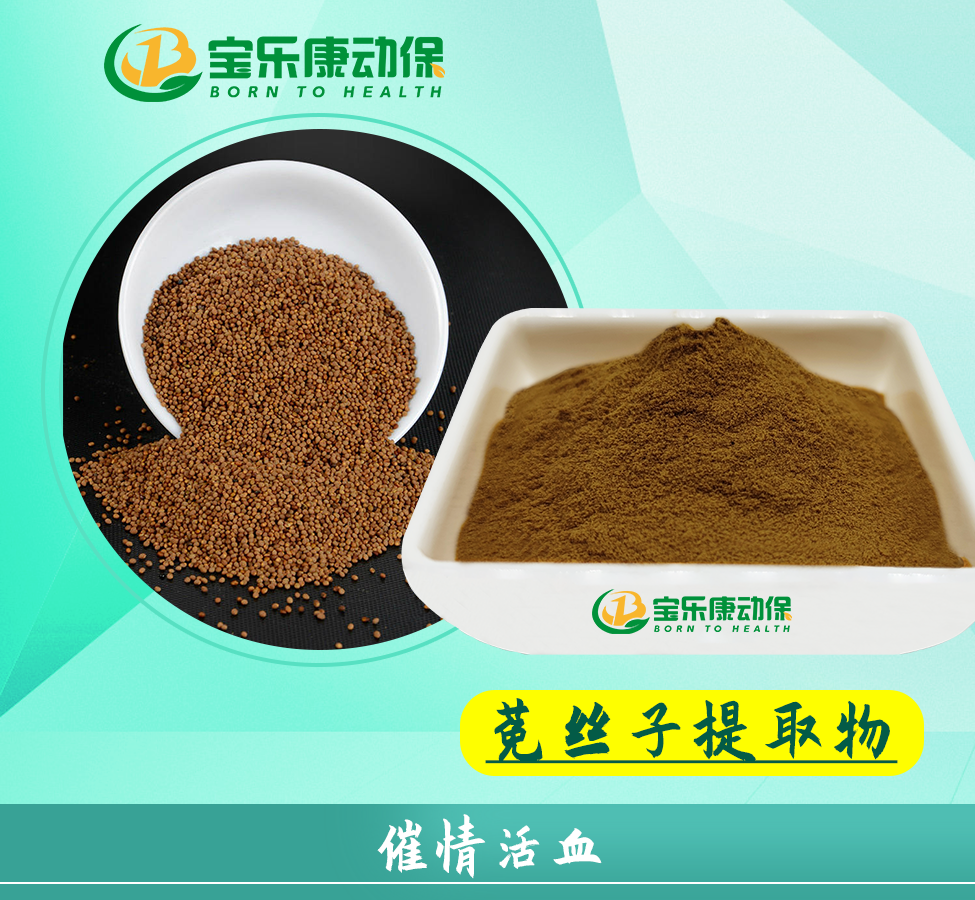 菟丝子粗提物