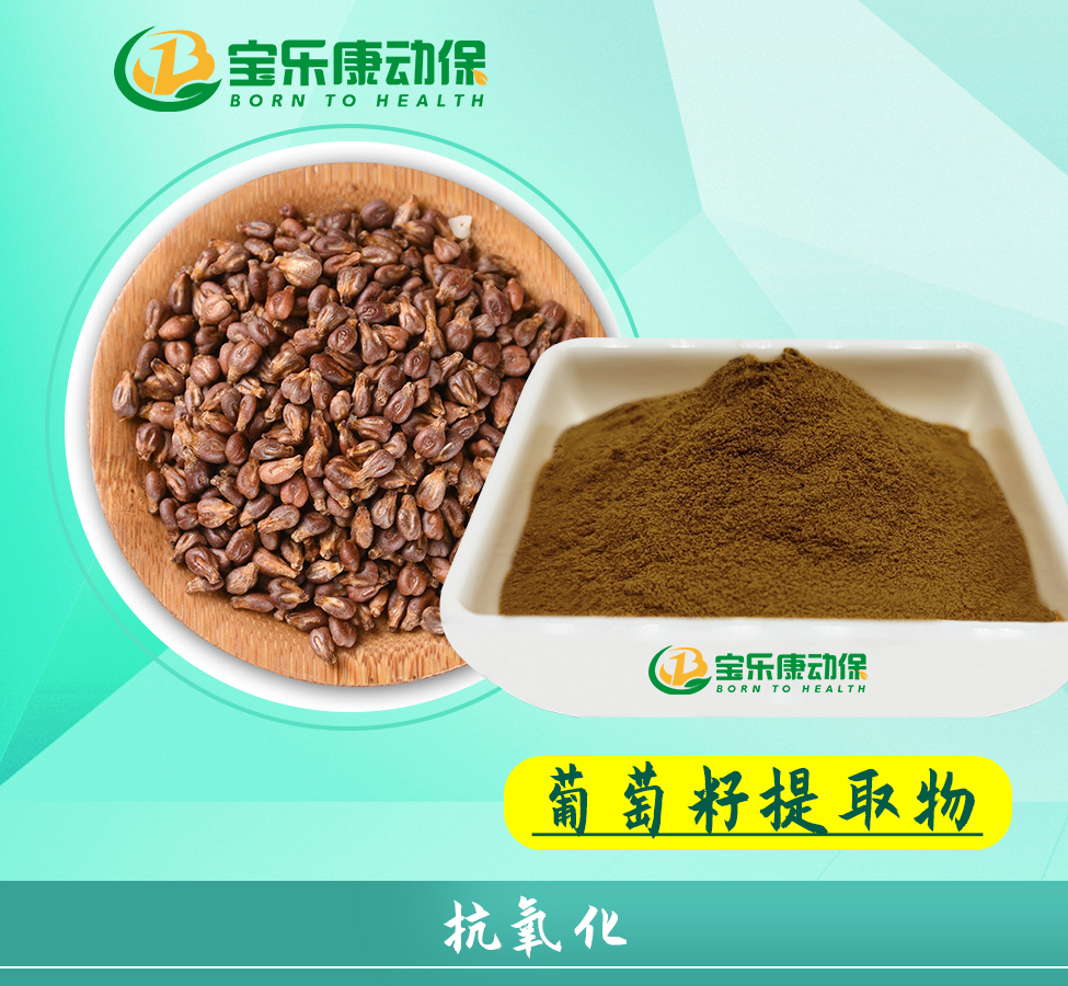 葡萄籽粗提物
