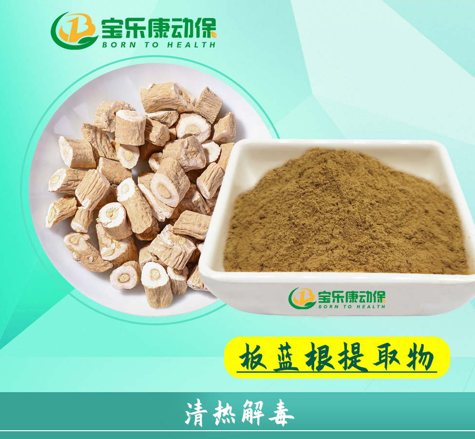 板蓝根提取物