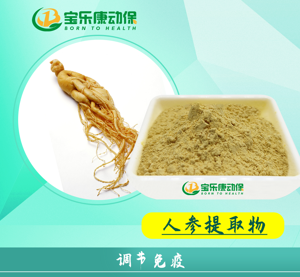 人参粗取物 