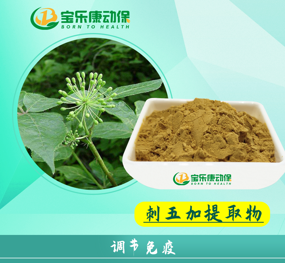 刺五加粗取物