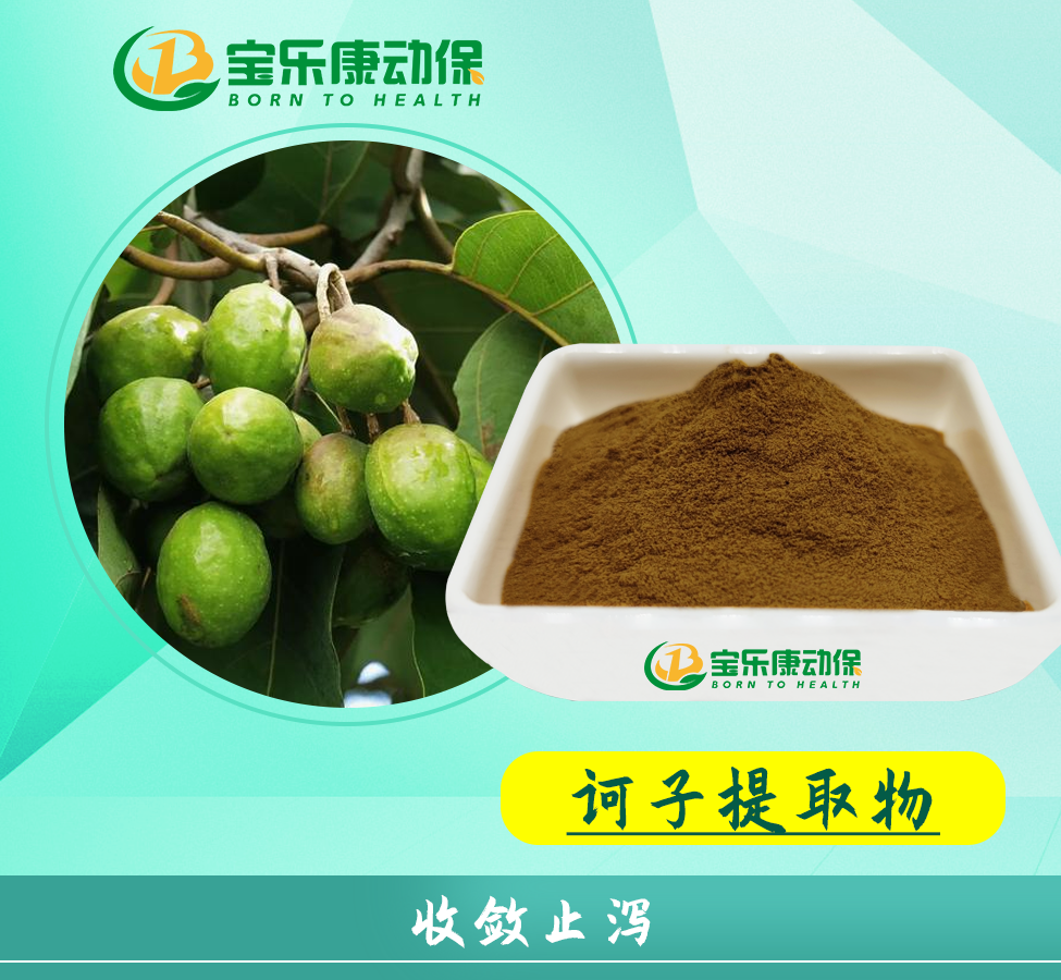 诃子粗提物