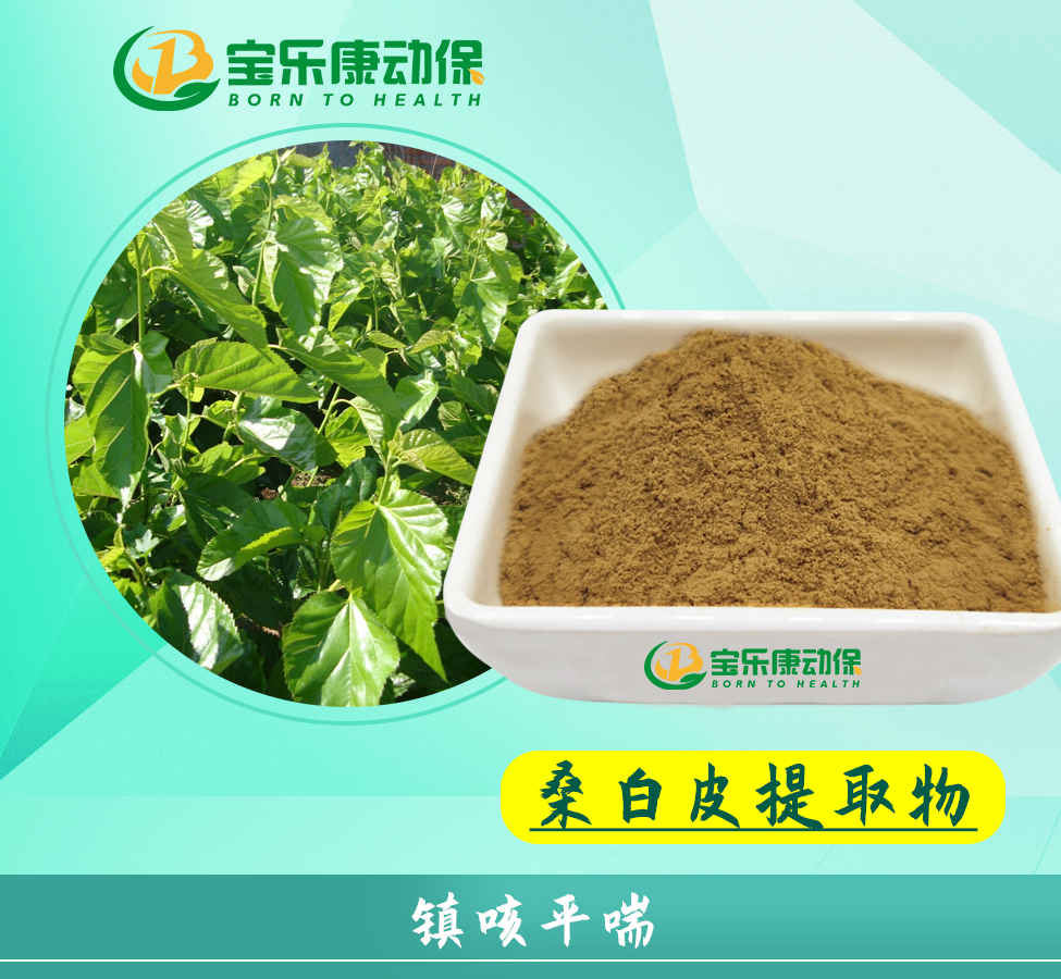 桑白皮粗提物