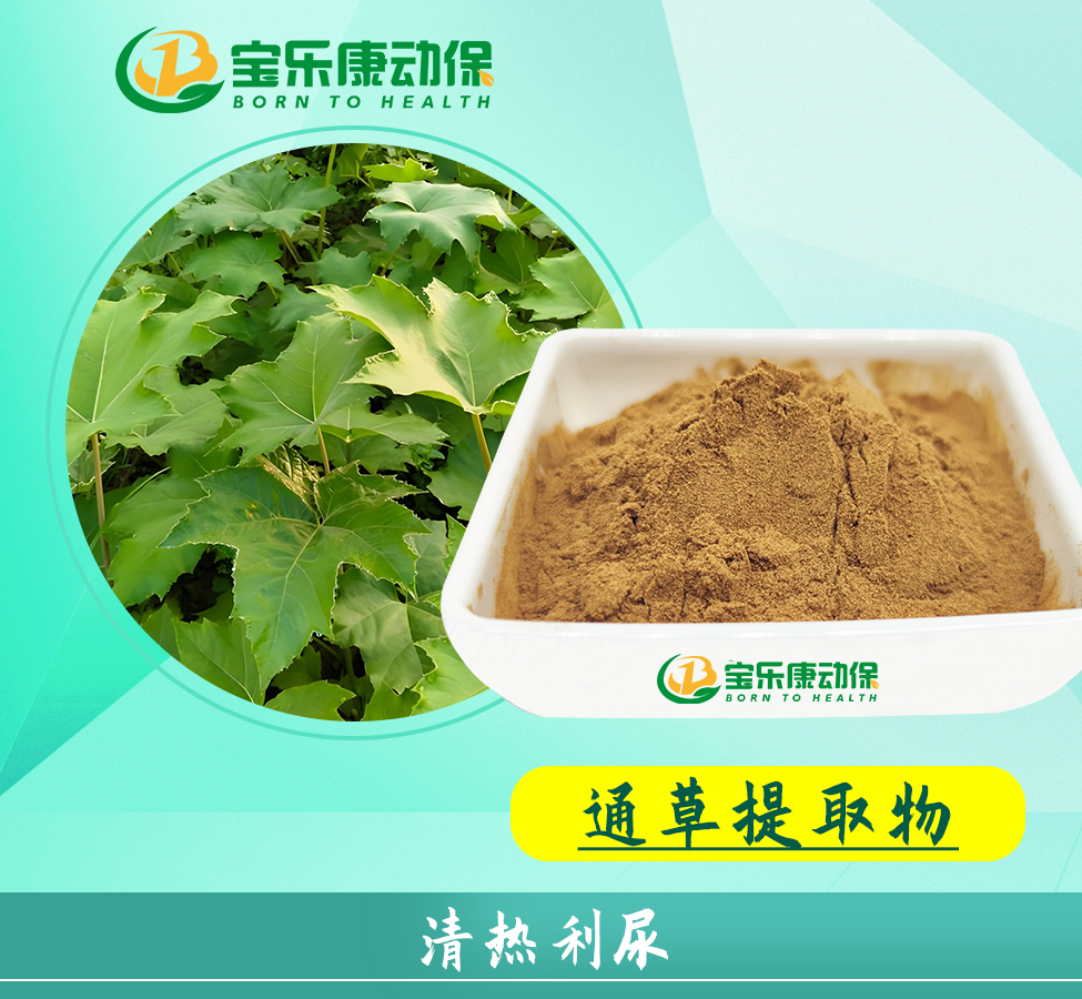 通草提取物