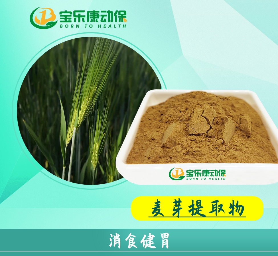 麦芽提取物