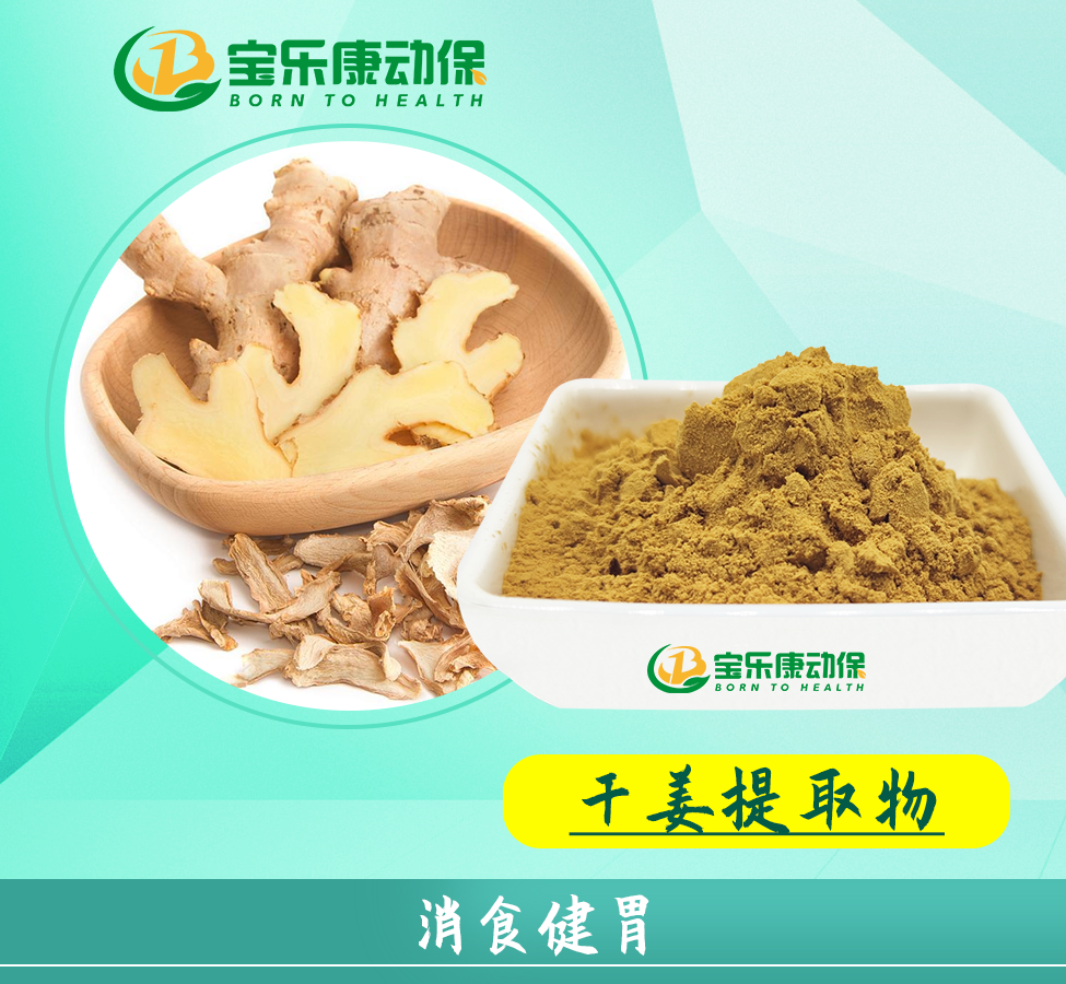 干姜提取物