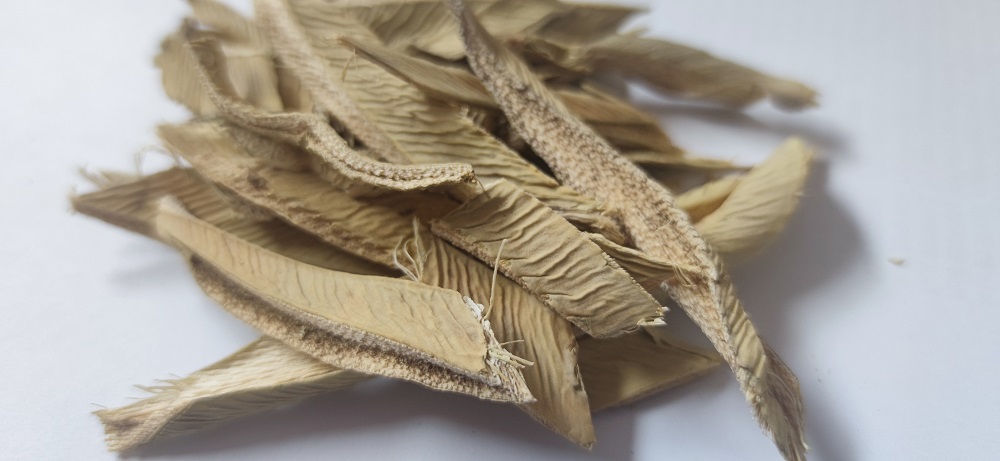 宠粮清洁标签风口下，丝兰提取物凭什么进配料表？专利和认证怎么看？