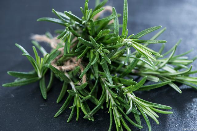 宠粮天然抗氧化剂怎么选型？迷迭香提取物、生育酚与茶多酚对比