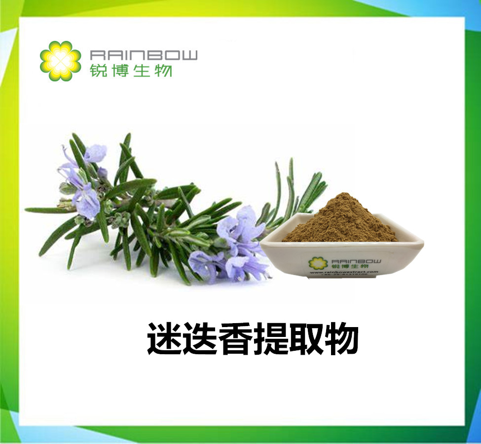 迷迭香提取物怎么提取