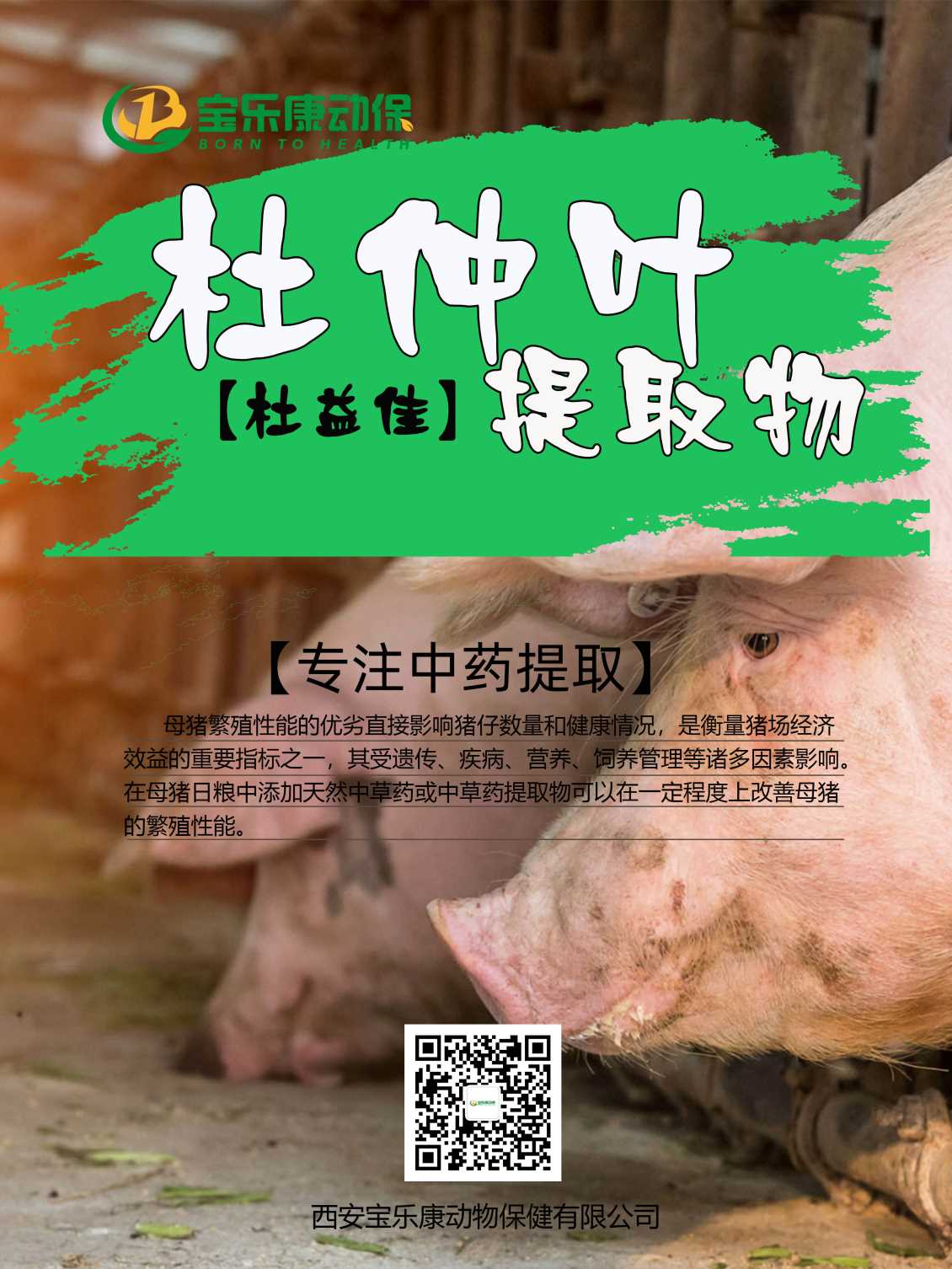 饲料添加剂-杜仲叶提取物的用法与用量