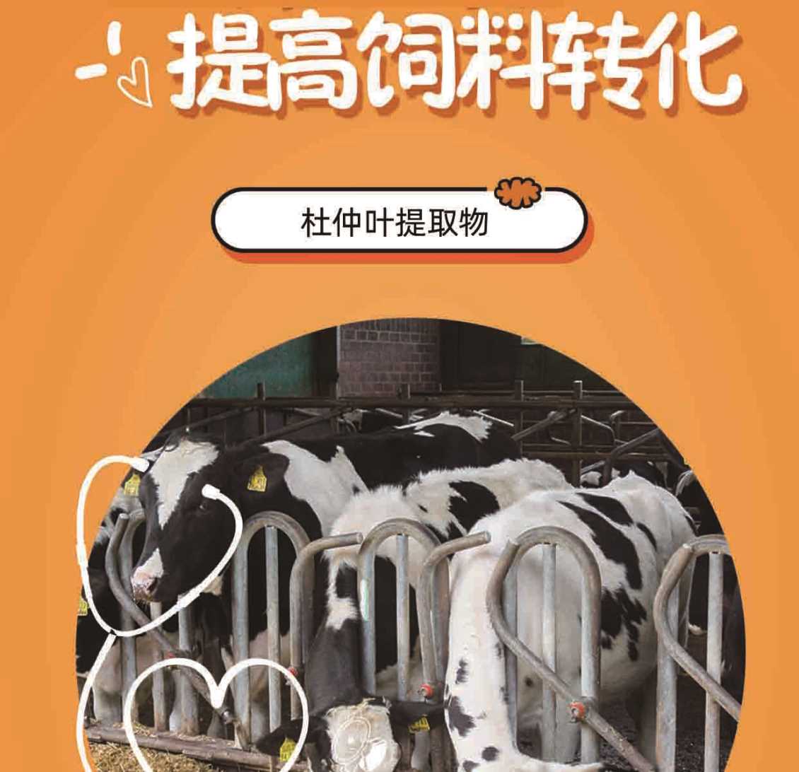 【杜益佳】中药杜仲叶提取物抗菌抗炎,提高饲料利用率
