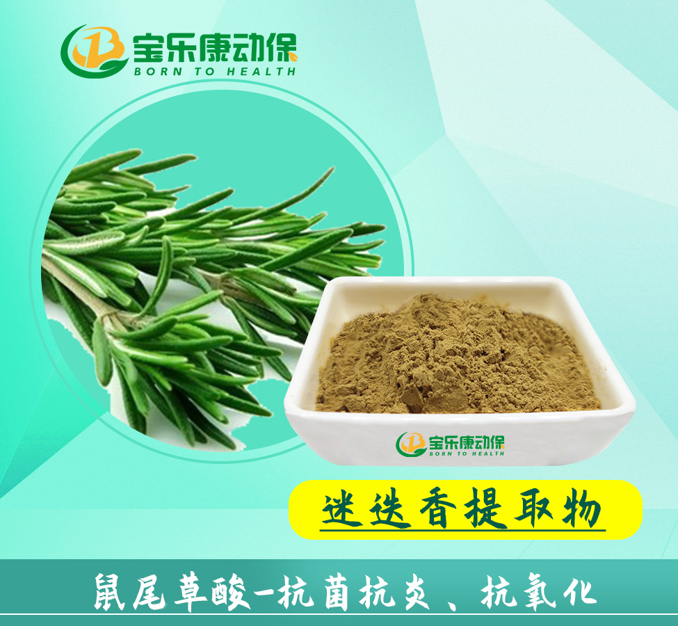 迷迭香提取物在宠物领域有哪些应用呢?