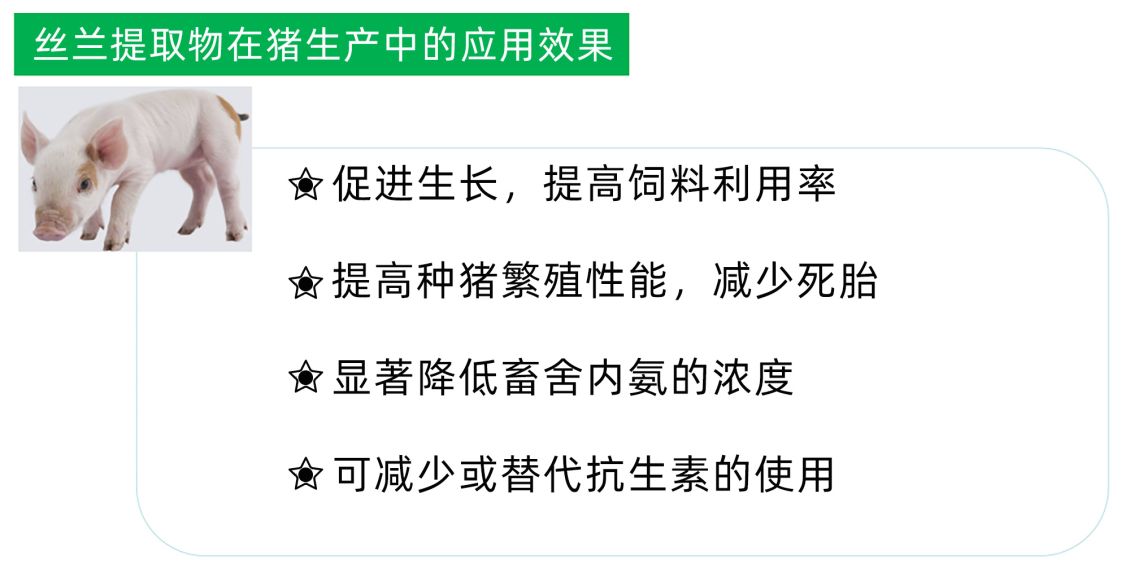 锐兰宝-介绍与应用